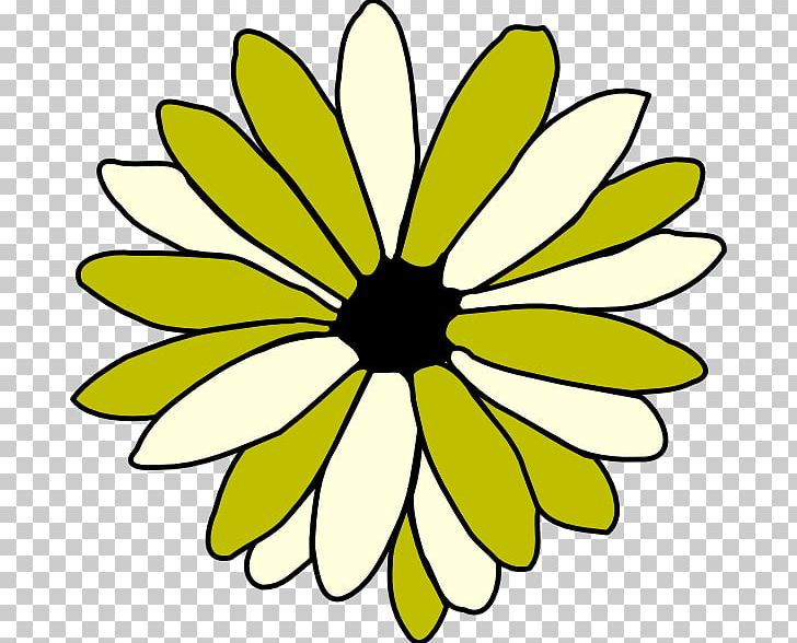 Line Art Drawing Flower Common Daisy PNG, Clipart, Artwork, Black And  White, Cartoon Daisy, Circle, Common