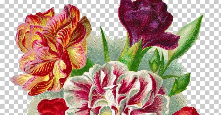 Post Cards Birthday PNG, Clipart, Alstroemeriaceae, Birthday, Blog, Botanical Illustration, Carnation Free PNG Download