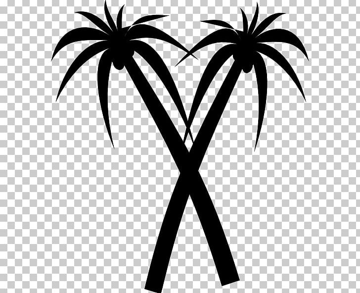 Tree Arecaceae PNG, Clipart, Arecaceae, Arecales, Art, Artwork, Black And White Free PNG Download
