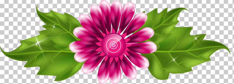 Flower Border Flower Background PNG, Clipart, Annual Plant, Daisy Family, Flower, Flower Background, Flower Border Free PNG Download