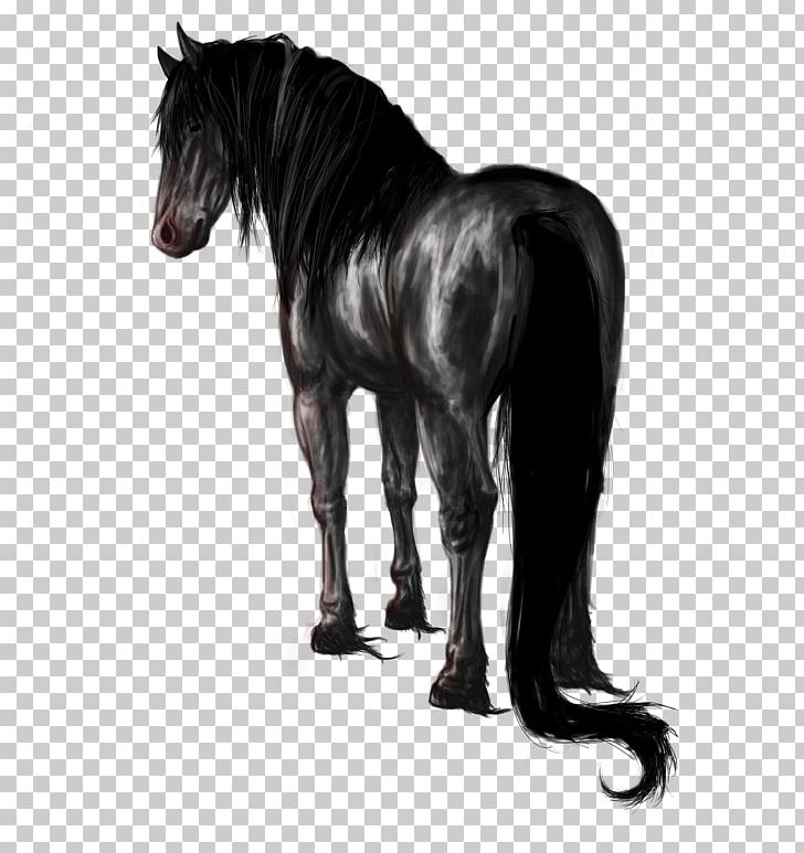 Stallion Mustang Pony Mare Halter PNG, Clipart, Animal, Black And White, Drawing, Fantasy, Graphite Free PNG Download