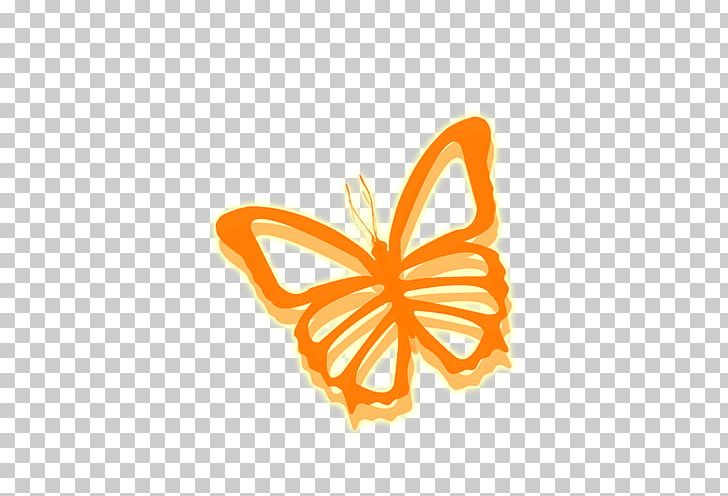 Monarch Butterfly PNG, Clipart, Adobe Illustrator, Album, Baby, Butterflies, Butterfly Group Free PNG Download