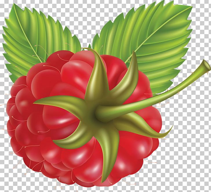 Raspberry PNG, Clipart, Berry, Blackberry, Computer Icons, Food, Fruit Free PNG Download