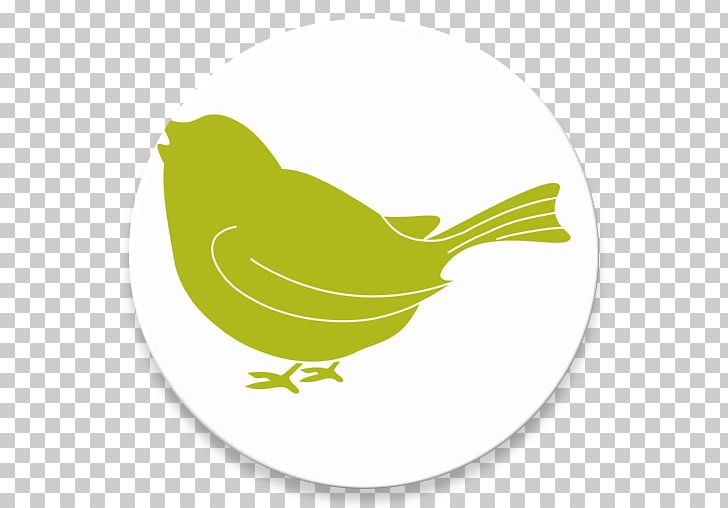 Beak PNG, Clipart, Beak, Bird, Fauna, Grass, Green Free PNG Download