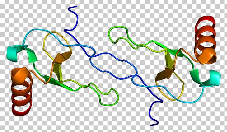 CCL4 CC Chemokine Receptors Wikipedia Macrophage Inflammatory Protein PNG, Clipart, Area, Artwork, Carbon Tetrachloride, Cc Chemokine Receptors, Ccl4 Free PNG Download