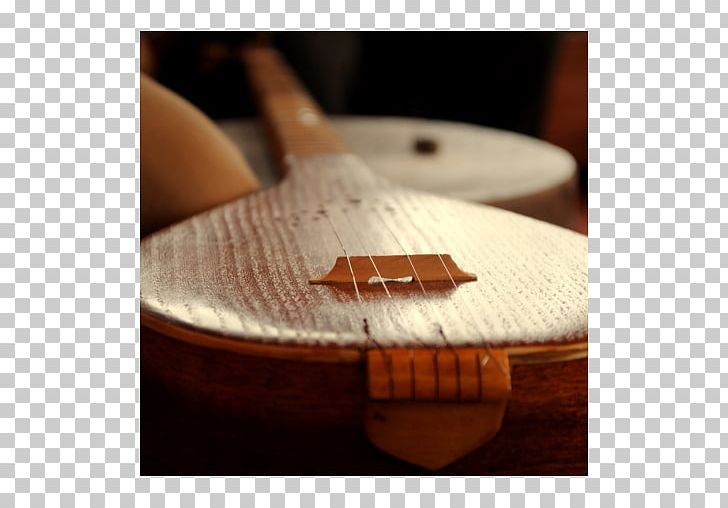 Setar Musical Instruments Guitar Picks PNG, Clipart, Acoustic Guitar, Art, Fret, Guitar, Guitar Accessory Free PNG Download