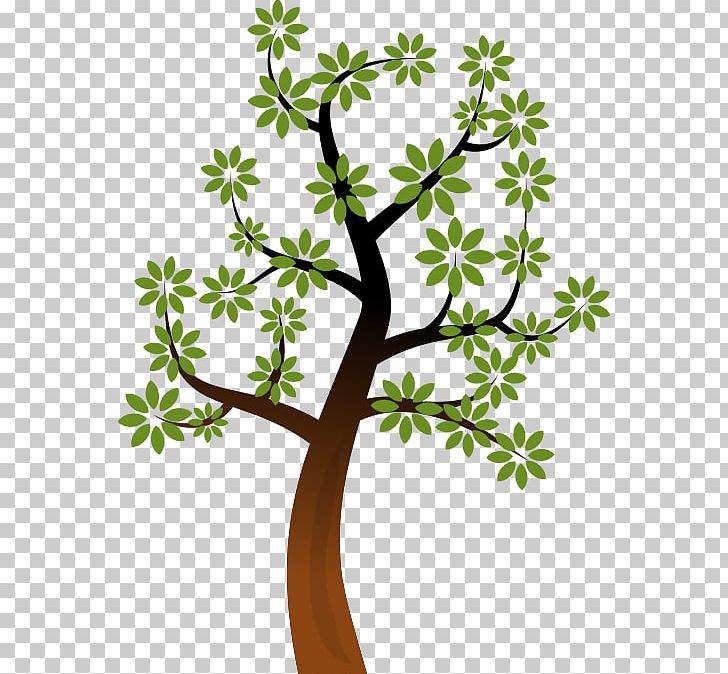 Tree Branch PNG, Clipart, Arecaceae, Branch, Drawing, Flora, Flower Free PNG Download