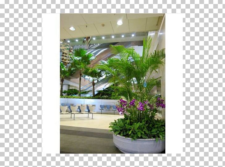 Window Tree Houseplant PNG, Clipart, Dubai Airport Terminal 1, Flora, Furniture, Glass, Houseplant Free PNG Download