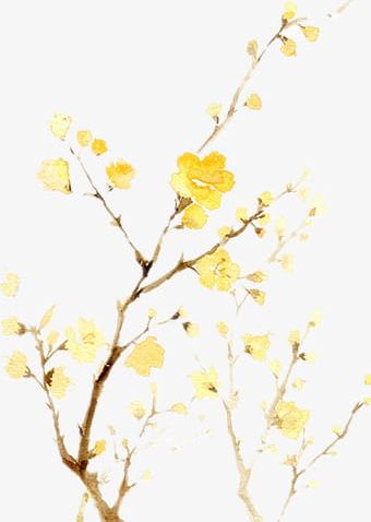 Yellow Flowers PNG, Clipart, Abstract, Autumn, Backgrounds, Beauty In Nature, Botany Free PNG Download