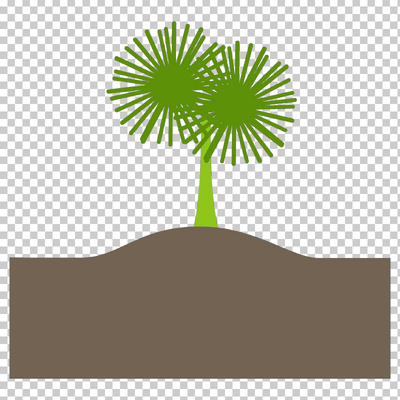 Palm Tree PNG, Clipart, Arecales, Leaf, Logo, Palm Tree, Plant Free PNG Download