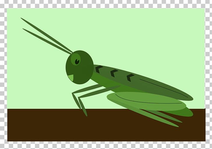 Jiminy Cricket Sound Effect Chirp PNG, Clipart, Chirp, Cricket, Fauna, Freesound, Grass Free PNG Download