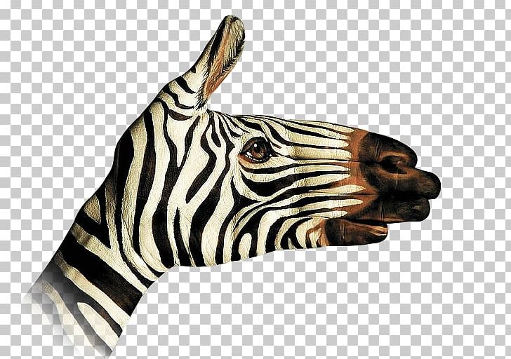 Quagga Zebra Painting Ignorant Men Don't Know What Good They Hold In Their Hands Until They've Flung It Away. Animal PNG, Clipart,  Free PNG Download