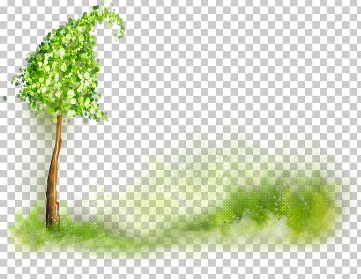 Tree Desktop PNG, Clipart, Branch, Clip Art, Computer Software, Computer Wallpaper, Desktop Wallpaper Free PNG Download