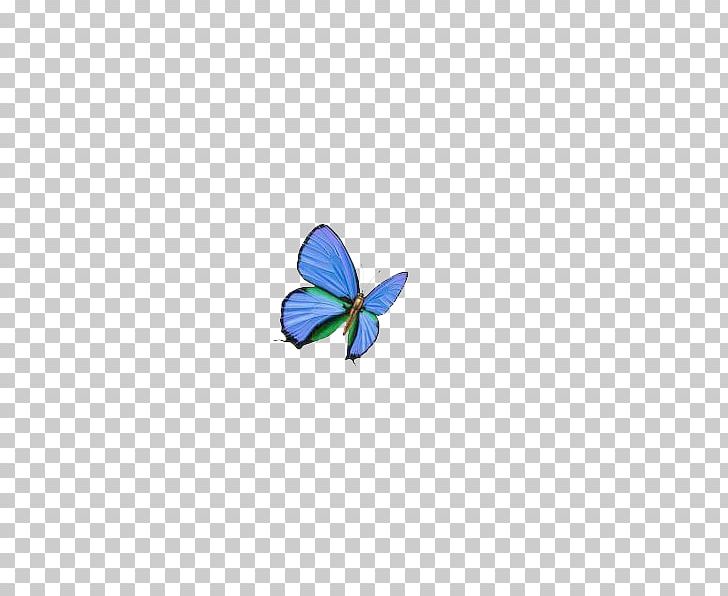 Butterfly Blue PNG, Clipart, Blue, Blue Abstract, Blue Abstracts, Blue Background, Blue Eyes Free PNG Download