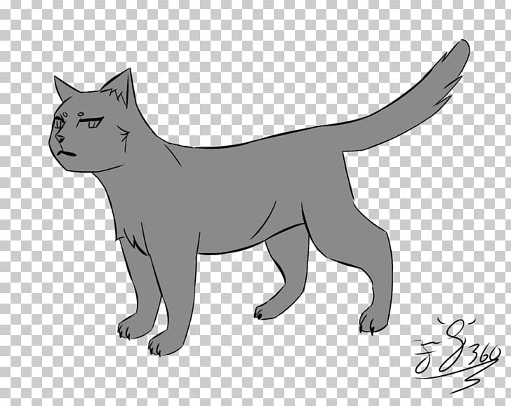 Kitten Wildcat Whiskers Domestic Short-haired Cat PNG, Clipart,  Free PNG Download