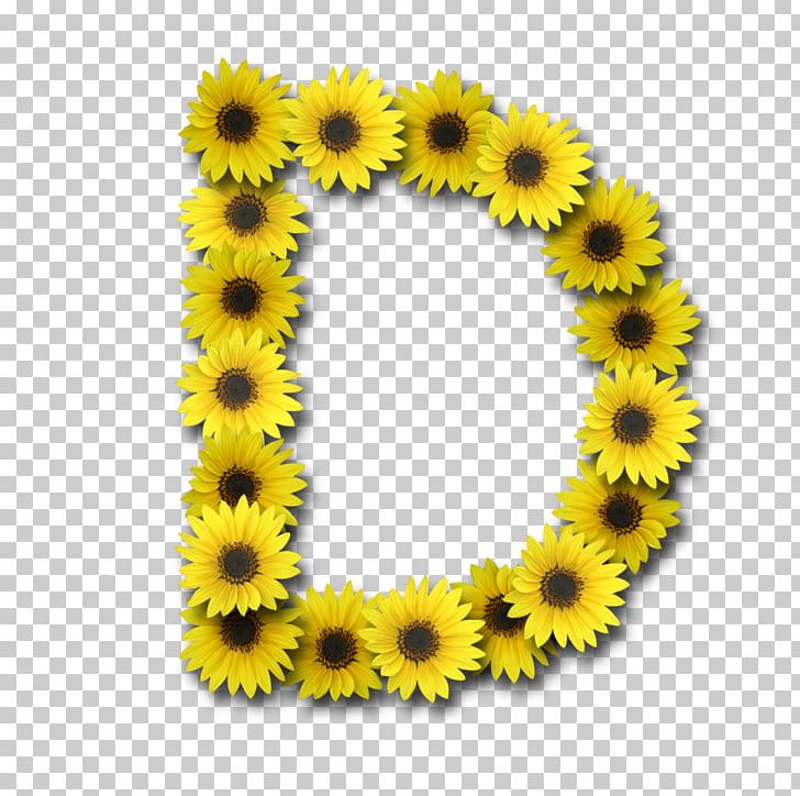 Letter Alphabet Video Font PNG, Clipart, Alphabet, Computer Software, Daisy Family, Digital Data, Flower Free PNG Download