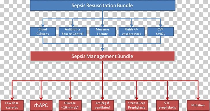 Sepsis Six Surviving Sepsis Campaign Therapy Acute Liver Failure PNG, Clipart, Angle, Area, Brand, Diagram, Disease Free PNG Download