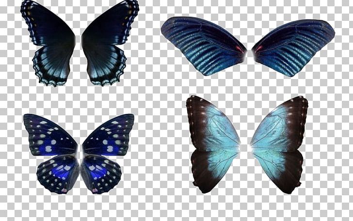 Butterfly Insect Wing PNG, Clipart, Blue, Blue Abstract, Blue Background, Blue Border, Blue Eyes Free PNG Download