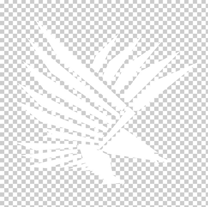 Flight 0506147919 Logo Emblem House PNG, Clipart, 0506147919, Angle, Beak, Bird, Black Free PNG Download