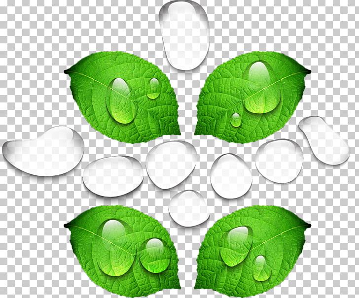 Leaves Dew PNG, Clipart, Decorative Patterns, Dew, Download, Drop, Encapsulated Postscript Free PNG Download