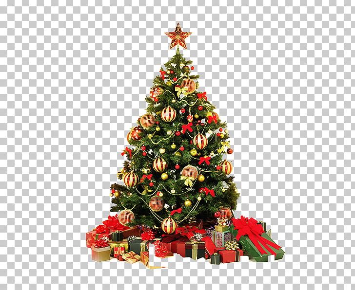 Christmas Tree Christmas Card Greeting Card PNG, Clipart, Candle, Christmas, Christmas Decoration, Christmas Frame, Christmas Lights Free PNG Download