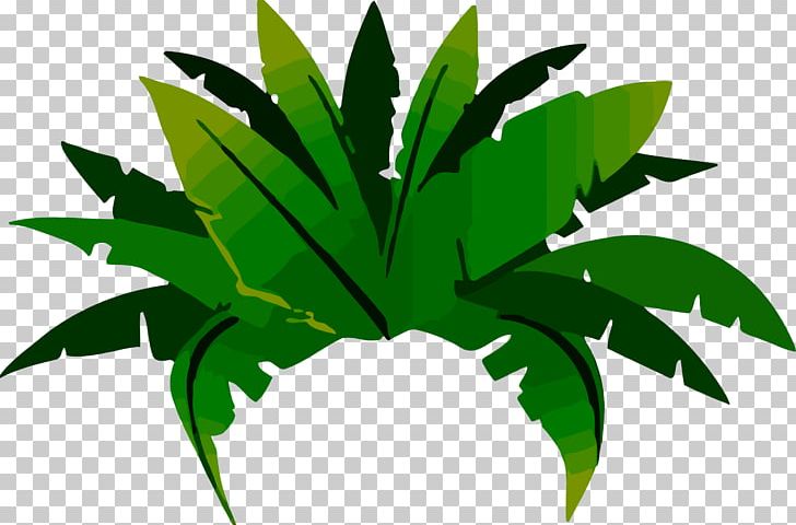Jungle Tropical Rainforest Amazon Rainforest Plant PNG, Clipart, Amazon Rainforest, Arecaceae, Arecales, Botanical, Botany Free PNG Download