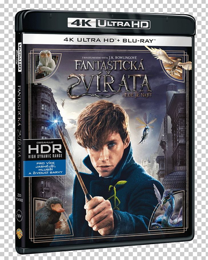 Katherine Waterston Fantastic Beasts And Where To Find Them Ultra HD Blu-ray Blu-ray Disc 4K Resolution PNG, Clipart, 4k Resolution, Bluray Disc, Dan Fogler, Dolby Atmos, Dtshd Master Audio Free PNG Download