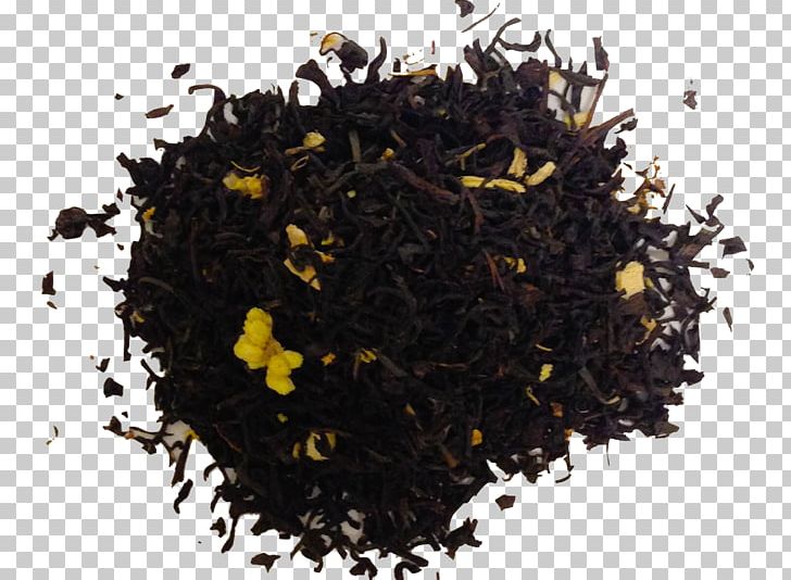 Nilgiri Tea Assam Tea Vegetarian Cuisine Tea Plant Food PNG, Clipart, Assam Tea, Ceylon Tea, Da Hong Pao, Dianhong, Earl Grey Tea Free PNG Download