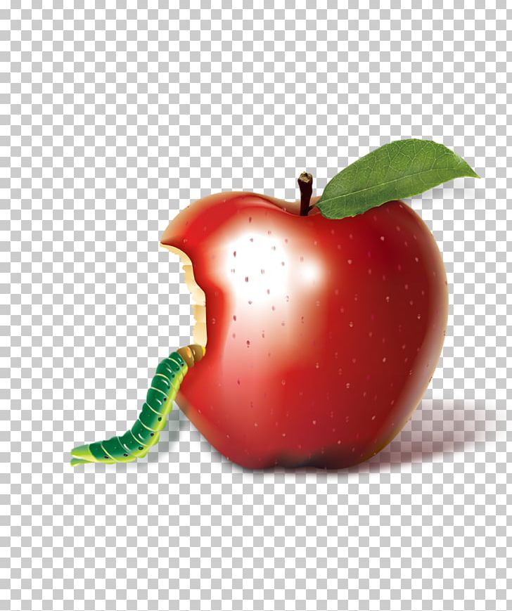 Apple PNG, Clipart, Accessory Fruit, Animals, Apple, Apple Fruit, Apple Logo Free PNG Download