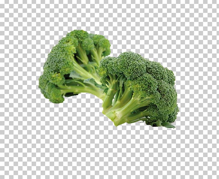 Organic Food Cream Of Broccoli Soup Cruciferous Vegetables PNG, Clipart, Broccoli, Broccoli Sprouts, Cabbage, Cauliflower, Eating Free PNG Download