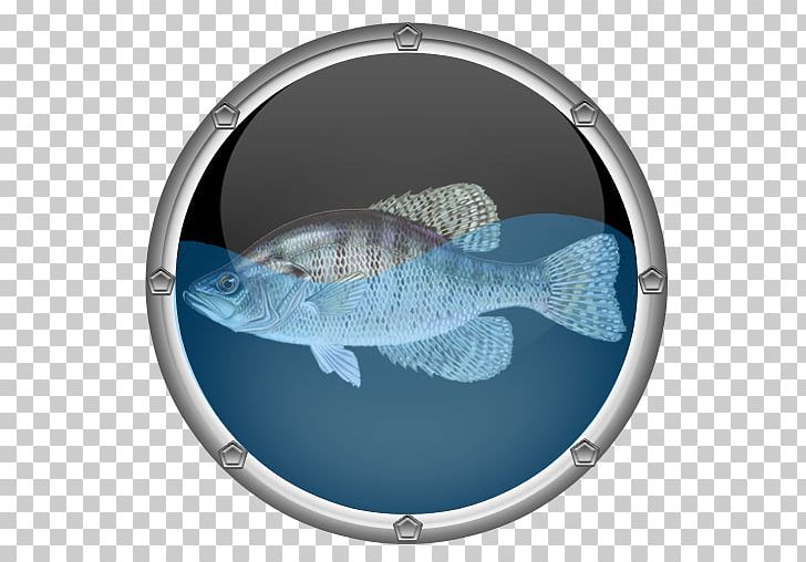Reef Aquarium Tropical Fish Clownfish PNG, Clipart, 4k Resolution, Apple, App Store, Aquarium, Clownfish Free PNG Download