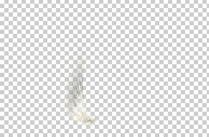 White Black Angle Pattern PNG
