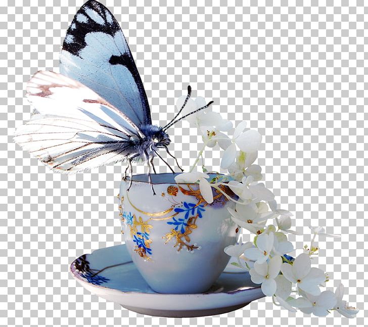 Butterfly Borboleta Tasse à Café Portable Network Graphics PNG, Clipart, Ayraclar, Blog, Borboleta, Butterflies And Moths, Butterfly Free PNG Download