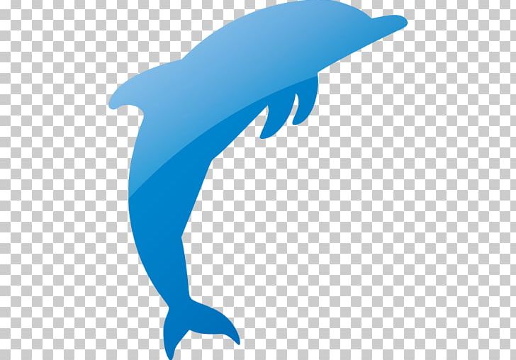 Common Bottlenose Dolphin Tucuxi Amazon River Dolphin PNG, Clipart, Animals, Bottlenose Dolphin, Caribbean, Caribbean Blue, Common Bottlenose Dolphin Free PNG Download