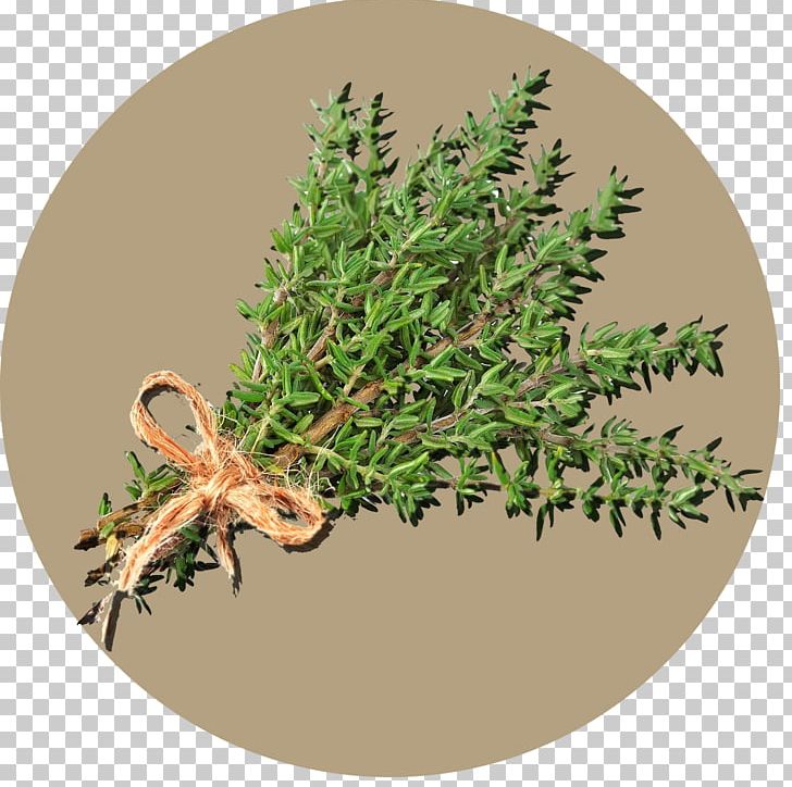 La Rivayne Herb Thymes Room PNG, Clipart, Accommodation, Anise, Bed And Breakfast, Evergreen, Fines Herbes Free PNG Download