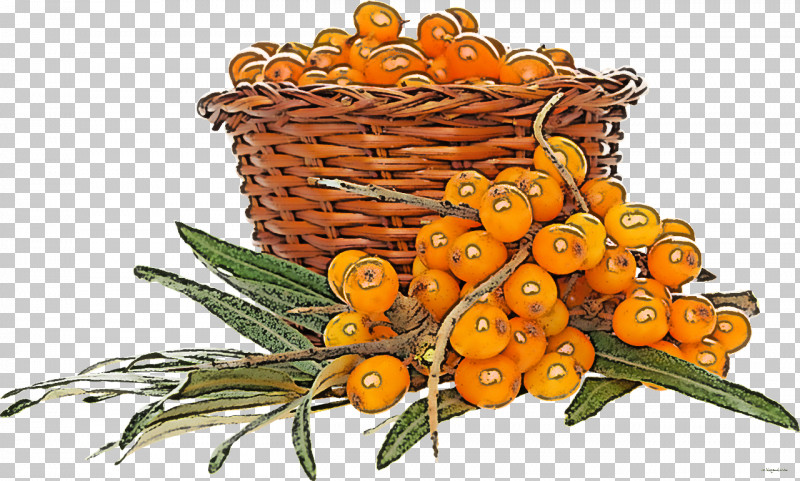 tangerines clipart flower