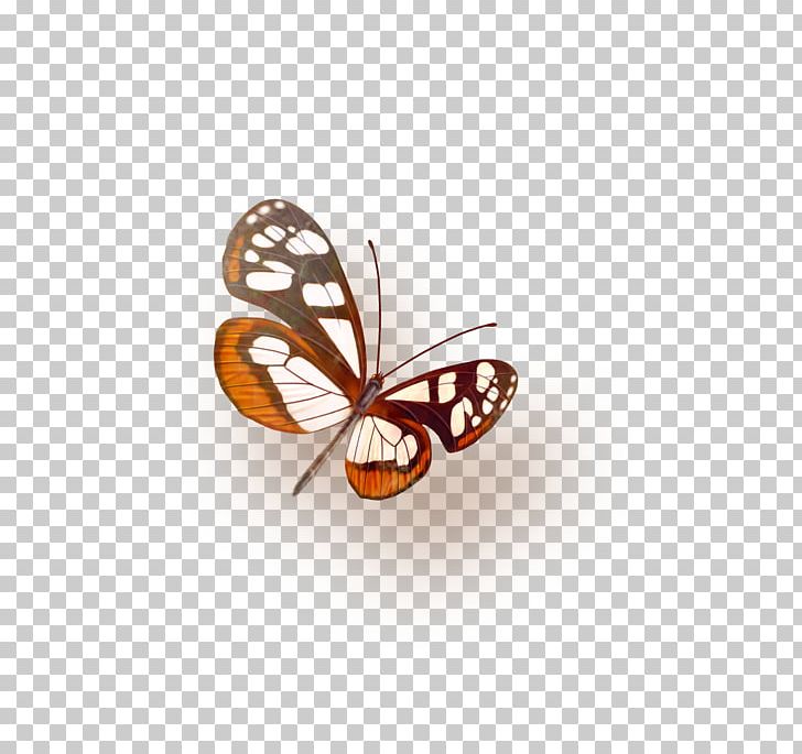 Butterfly Icon PNG, Clipart, Arthropod, Blue Butterfly, Brush Footed Butterfly, Butterflies, Butterfly Group Free PNG Download
