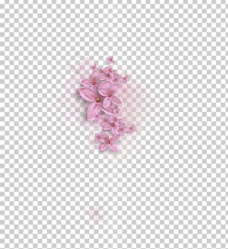 Flower Polyvore Petal Яндекс.Фотки Fotki PNG, Clipart, Art, Blossom, Chelsea Flower Show, Creativity, Flower Free PNG Download