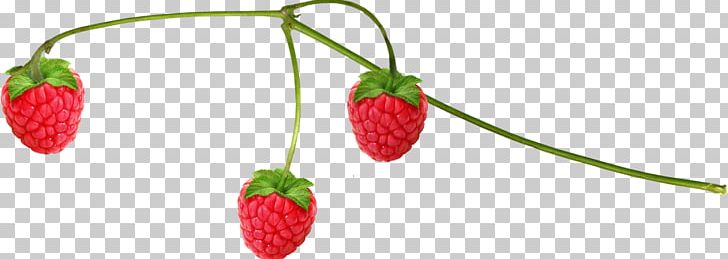 Musk Strawberry Raspberry Food PNG, Clipart, Auglis, Berry, Diet Food, Fragaria, Fruit Free PNG Download