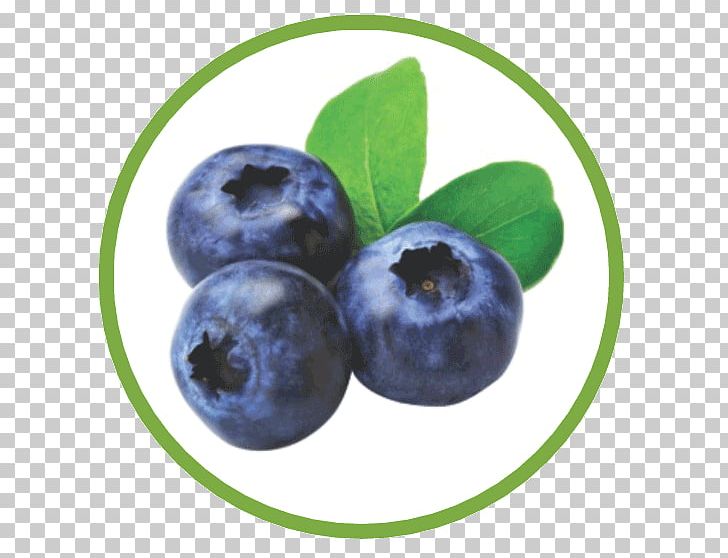 Blueberry Tea American Muffins Juice Food PNG, Clipart, Berries, Berry, Bilberry, Blueberry, Blueberry Tea Free PNG Download