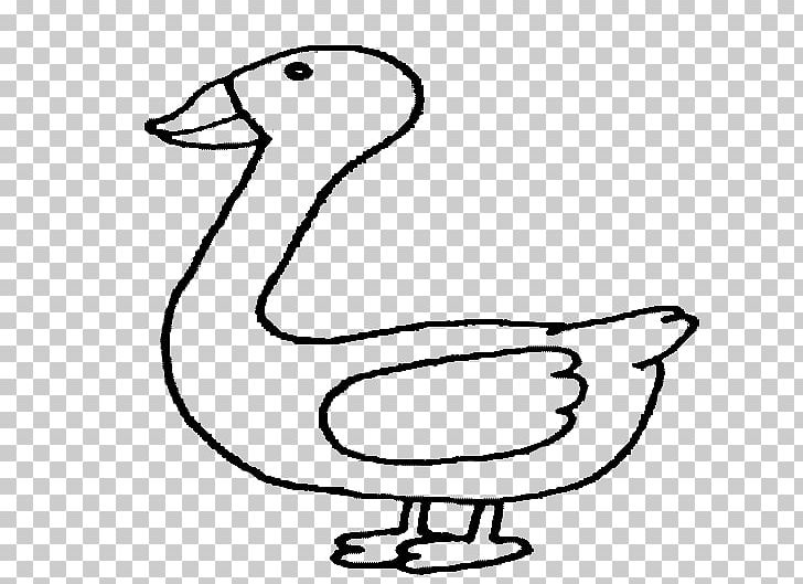 Duck Bird Goose Cygnini Anatidae PNG, Clipart, Anatidae, Animal, Animals, Area, Art Free PNG Download