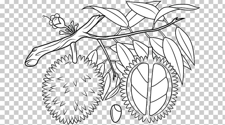 Durian Fruit Coloring Book Orange PNG, Clipart, Artwork, Black And White, Book, Branch, Cartoon Free PNG Download