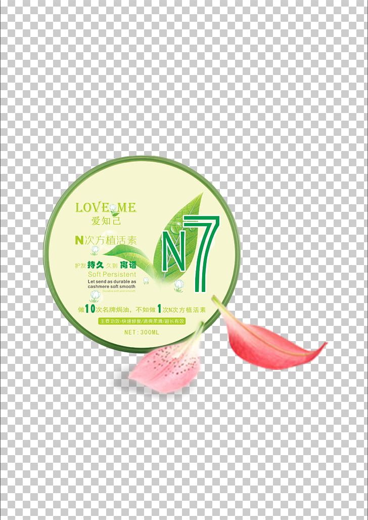 Illustration PNG, Clipart, Adobe Illustrator, Aloe, Brand, Download, Encapsulated Postscript Free PNG Download