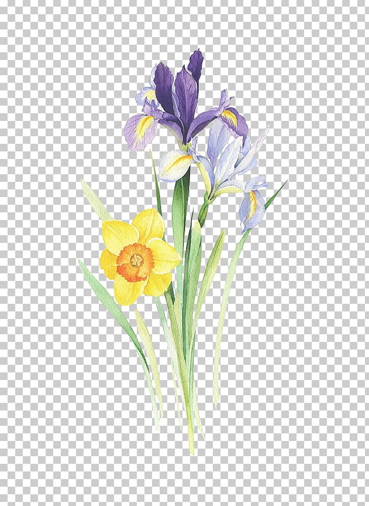 Painting Art Drawing Illustration PNG, Clipart, Color, Crocus, Cut Flowers, Dream, Flower Free PNG Download