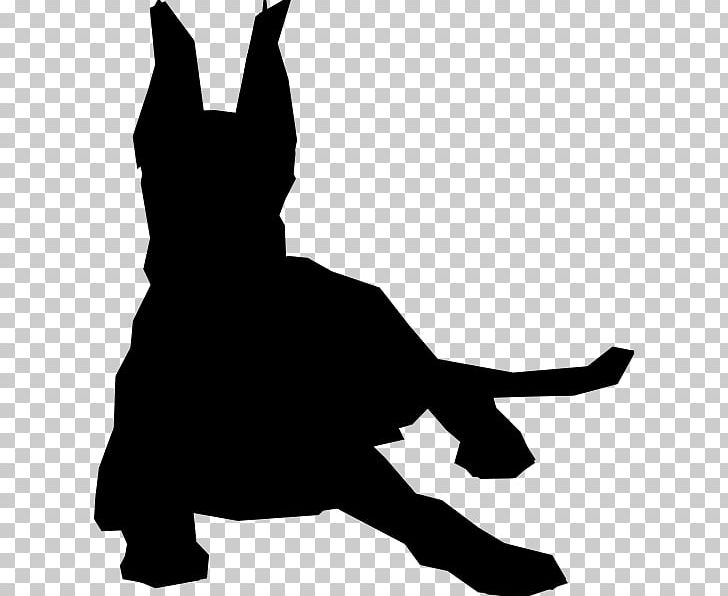 Pit Bull Great Dane Puppy Dobermann PNG, Clipart, Animal, Animals, Black, Black And White, Breed Free PNG Download
