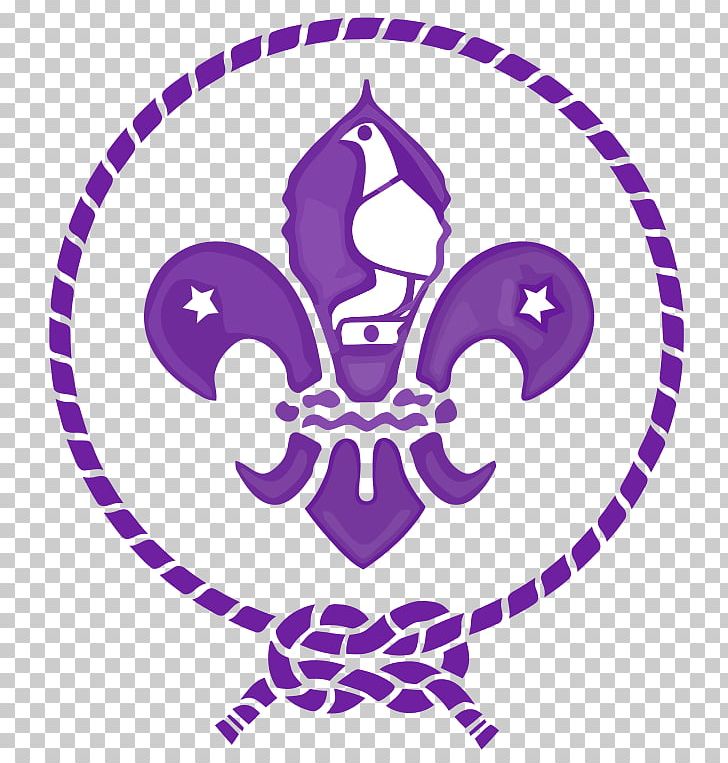 Scouting World Organization Of The Scout Movement Scout Group World ...