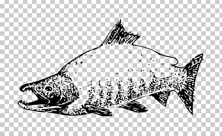 Sockeye Salmon Chinook Salmon Pink Salmon Chum Salmon PNG, Clipart, Art, Black And White, Carnivoran, Chinook Salmon, Chum Salmon Free PNG Download