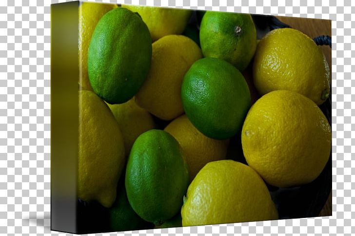 Key Lime Persian Lime Lemon-lime Drink PNG, Clipart, Acid, Citric Acid, Citron, Citrus, Food Free PNG Download