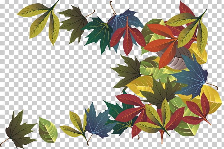 Autumn Leaf Deciduous PNG, Clipart, Autumn, Autumn Leaves, Branch, Color Smoke, Color Splash Free PNG Download
