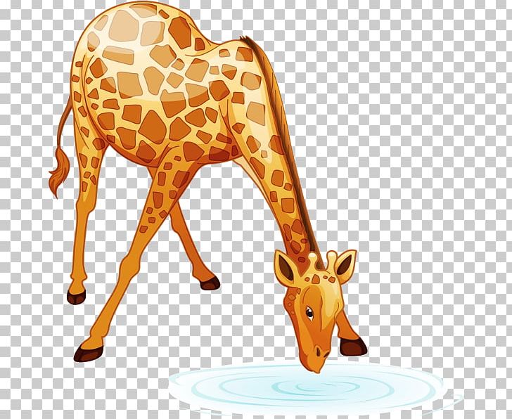 Baby Giraffes PNG, Clipart, Animal, Animal Figure, Animals, Baby Giraffes, Cartoon Free PNG Download